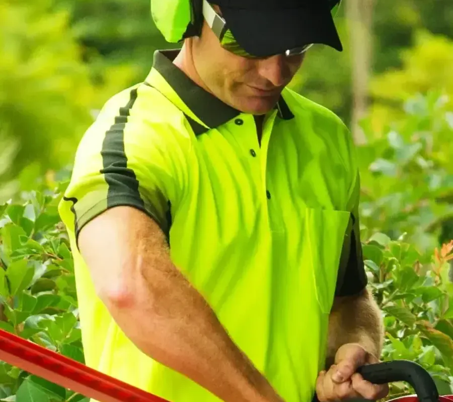 Lawn Mowing and Gardening featured image || "featured image"